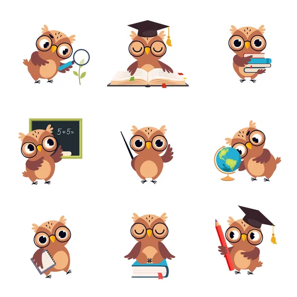 Wijze bruine uil in verschillende acties set, Schattige vogel leraar tekenfilm karakter onderwijs op school Vector Illustratie — Stockvector