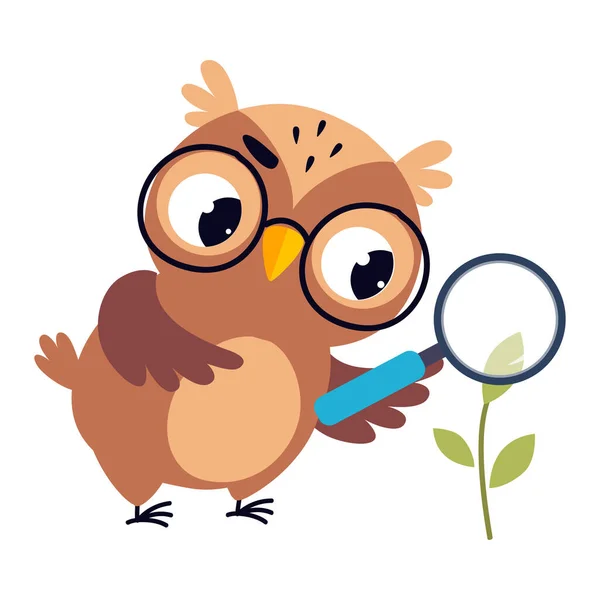 Wise Brown Owl, Cute Bird Teacher Cartoon Character Owl Examining Plant Through Magnifying Glass at Biology Lesson Vector Illustration — Stock Vector