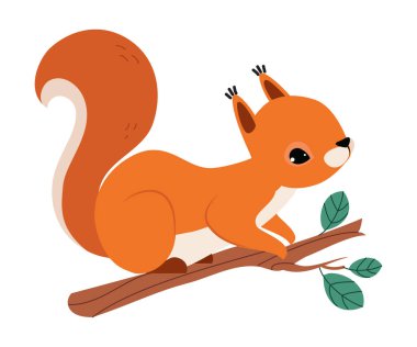 Kabarık Kuyruklu Kırmızı Fluffy Squirrel Ağaç Dalı Vektör Resimlerinde Oturuyor