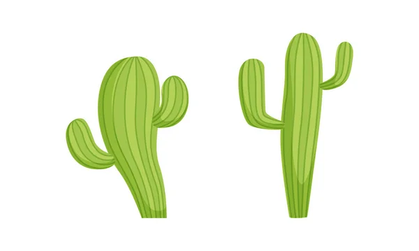 Piante di cactus, Simbolo tradizionale del Messico Cartoon Vector Illustration — Vettoriale Stock