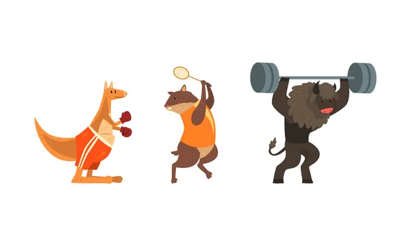 Bull Exercício com Barbell, Marmot Jogando Tênis, Canguru Boxe, Poderosos Animais Selvagens Personagens Fazendo Esportes Vetor Ilustração — Vetor de Stock