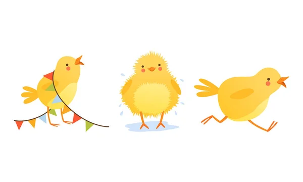 ( 영어 ) 귀여운 닭 - 다양 한 상황에서 설정 , Cute Funny Baby Bird Character Cartoon Vector Illustration — 스톡 벡터