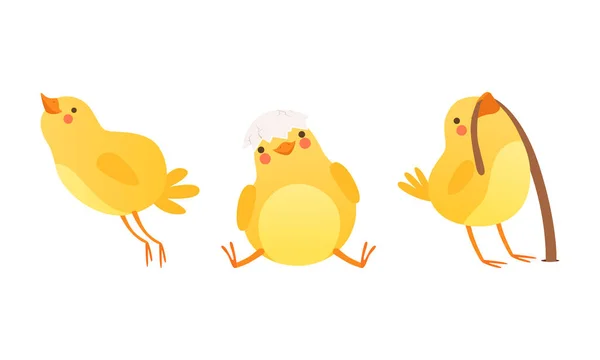 Pollo divertido en diferentes situaciones conjunto, lindo pájaro adorable personaje de dibujos animados Vector ilustración — Archivo Imágenes Vectoriales