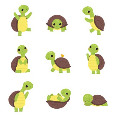 Mutlu Yeşil Kaplumbağa Yürüyüşü, Dalgalı Pençe ve Uyuyan Vektör Seti