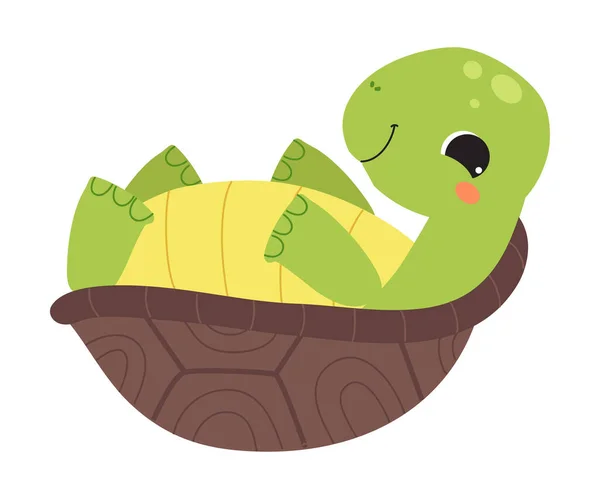 Счастливая зеленая черепаха, лежащая на спине — стоковый вектор