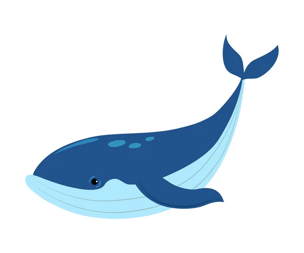 La baleine comme animal marin flottant Illustration vectorielle sous-marine — Image vectorielle
