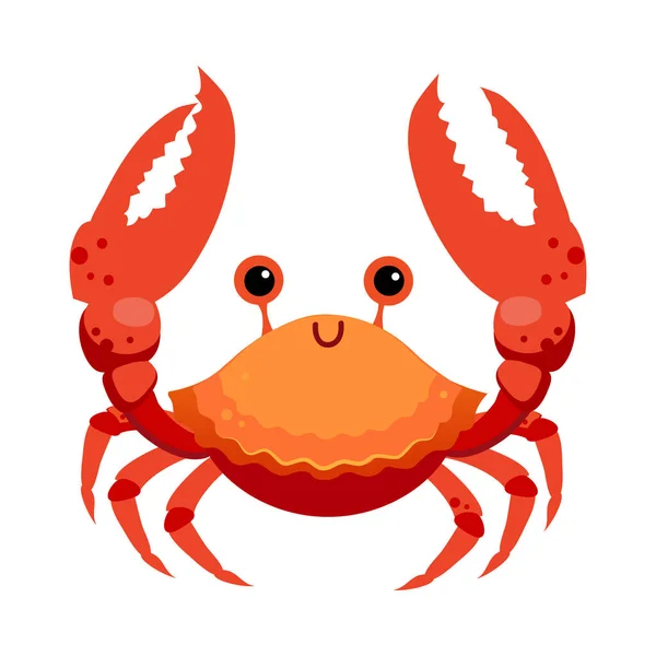Crab as Sea Animal Floating Underwater Vector Illustration — Stock Vector