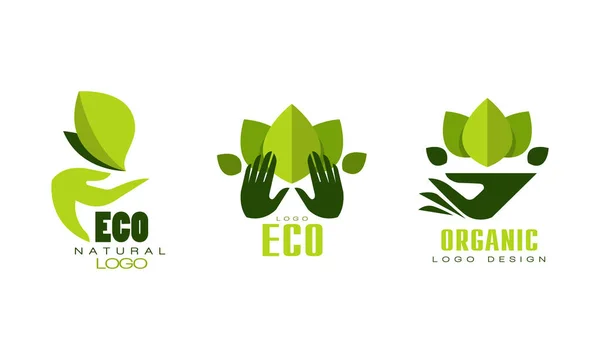 Eco Natural Logo Templates Set. Organic, Bio Food, Products Badges with Set with Green Leaves Flat Vector Illustration — Stok Vektör
