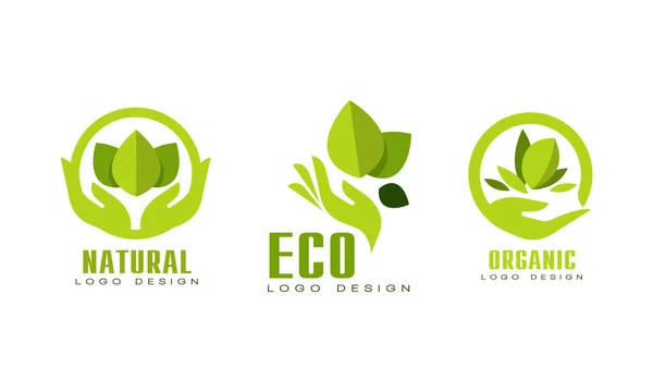 Natural Organic Logo Templates Set. Eco, Bio Food, Cosmetic Products Badges with Set with Green Leaves Flat Vector Illustration — Stockový vektor