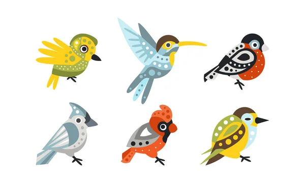 Collezione di uccelli colorati, colibrì, Bullfinch, Illustrazione vettoriale del cartone animato del cardinale settentrionale — Vettoriale Stock