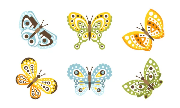 Piękne motyle latające owady, Element dekoracji płaski wektor ilustracji Izolowane na białym tle. — Wektor stockowy