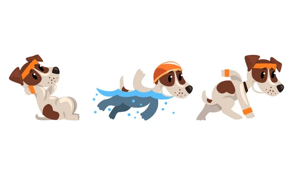 Mignon sportif Jack Russell Terrier faire des sit-ups et nager ensemble vecteur — Image vectorielle