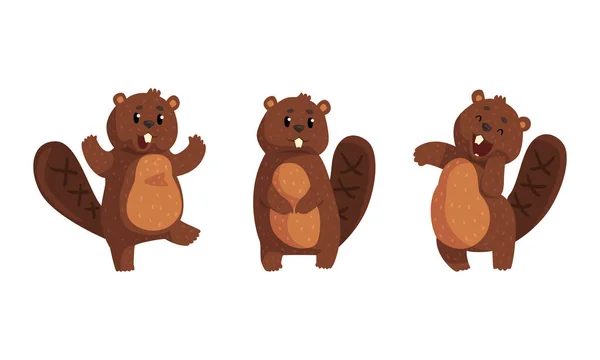 Roztomilý hnědý bobr s různými emocemi set, legrační veselý lesní zvíře postava karikatura vektorové ilustrace — Stockový vektor