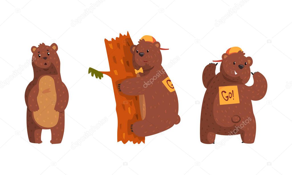 Cute Brown Bear in Different Situations Set, Funny Woodland Animal Character Cartoon Vector Illustration
