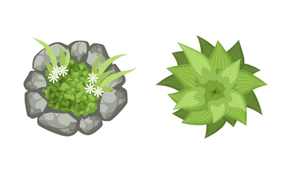 Crecimiento de Bush y macizo de flores rodeado de piedras como conjunto de vectores de elementos de paisaje — Vector de stock