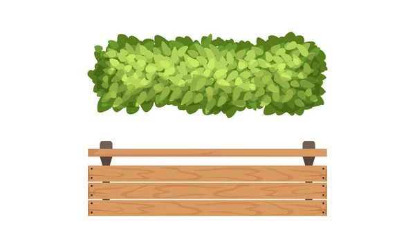 Bush Growth and Wooden Bench as Landscape Design Elements Vector Set — Stock Vector
