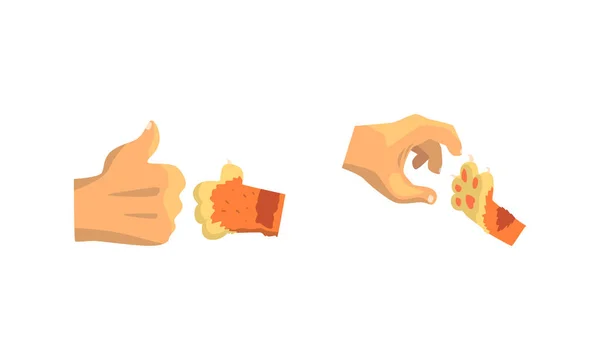 Γάτα Paw και ανθρώπινο χέρι Gesturing Εμφάνιση Thumb Up και Clutching Vector Set — Διανυσματικό Αρχείο