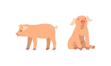 Pinky Pig: Uzun Burunlu ve Toynaklı Ayaklı Hayvan Vektörü
