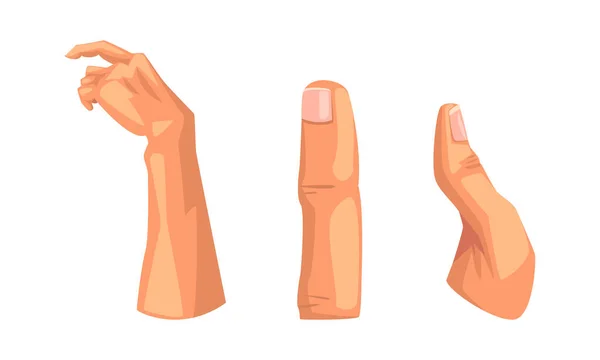 Delar med arm, finger och tumme vektor set — Stock vektor