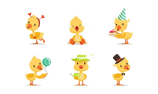 Aranyos csirke karakter Különböző tevékenységek Set, imádnivaló kis madár ünneplő születésnap, dolgozik a kertben, sírás rajzfilm vektor illusztráció — Stock Vector