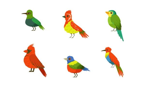 熱帯性オウムのコレクション、美しい明るいエキゾチックな鳥の漫画ベクトルイラスト — ストックベクタ