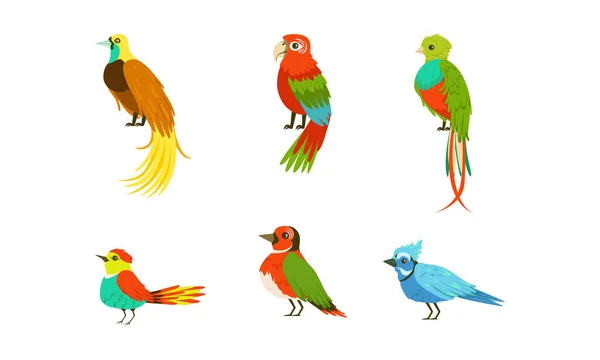 熱帯エキゾチックな鳥のコレクション、美しい明るいオウムの漫画ベクトルイラスト — ストックベクタ