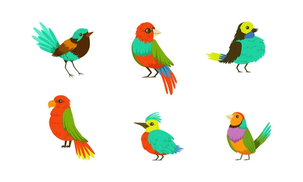 Kolekcja tropikalnych ptaków, jasne egzotyczne ptaki Wektor kreskówek ilustracja na białym tle — Wektor stockowy