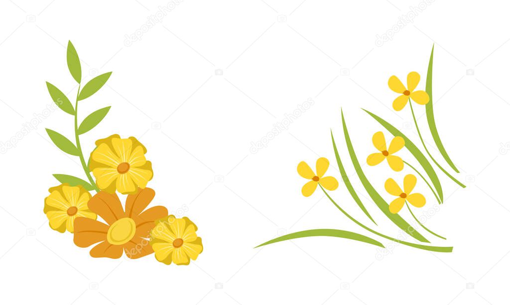 Abstract Elegant Floral Frame, Spring Yellow Blooming Flowers Set Cartoon Vector Illustration