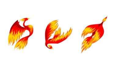 Phoenix Ateşkuşları, Efsanevi Peri Masalı Uçan Kuşlar Vektör İllüzyonu