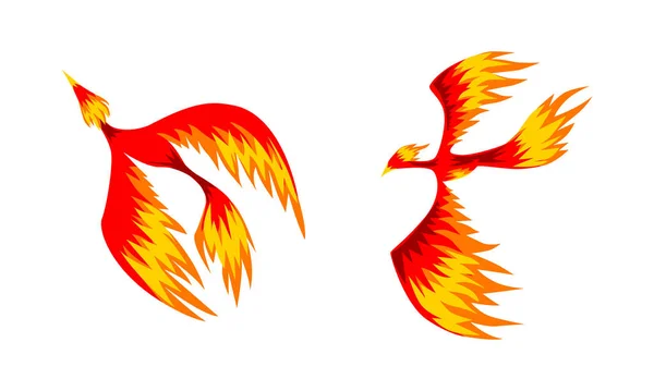 Set of Phoenix Firebirds, Mythical Fairy Tale Bird Vector Illustration on White Background — Stock Vector