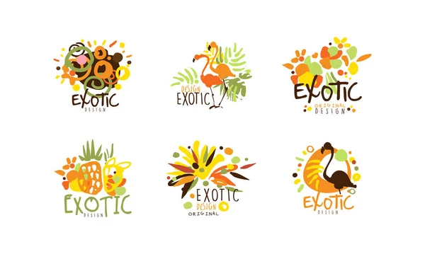 Collezione di design originale con logo esotico, vacanze estive, illustrazione vettoriale dei distintivi disegnati a mano del resort tropicale — Vettoriale Stock