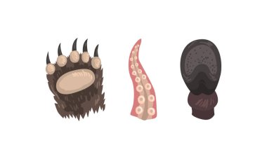 Ayı Pençeli Pençeli Hayvan Uzvu ve Ahtapot Dokunaç Vektörü Ayarlı