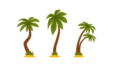 Palm Tree as Tropical Plant with Trunk Rested on Sand Vector Set clipart
