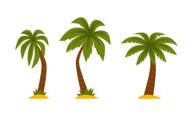 Palm Tree as Tropical Plant with Trunk Rested on Sand Vector Set clipart