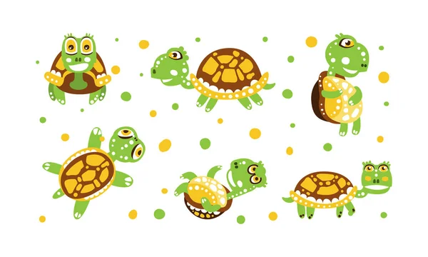 Cute Turtle with Shell and Short Feet in Different Poses Vector Set — Stock Vector