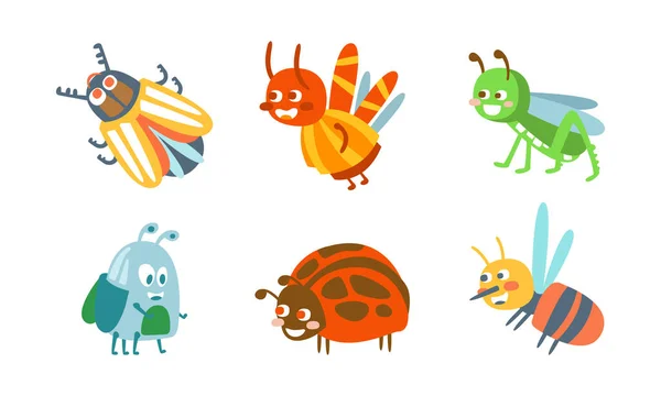 Ladybug and Grasshopper Vector Set 의 만화 곤충들 — 스톡 벡터