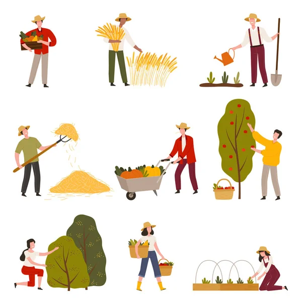 Agricultores o Trabajadores Agrícolas Cultivando Plantas y Recolectando Cultivos Vector Illustration Set — Archivo Imágenes Vectoriales