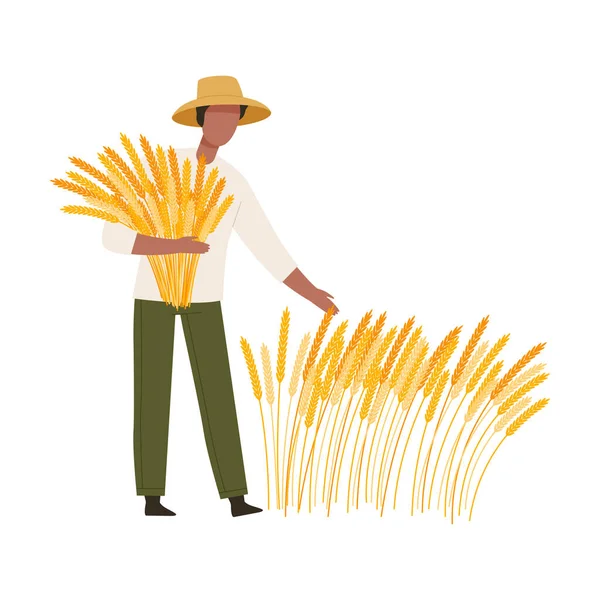 Man Farmer in Straw Hat Gathering Ears of Wheat Vector Illustration — Stock Vector