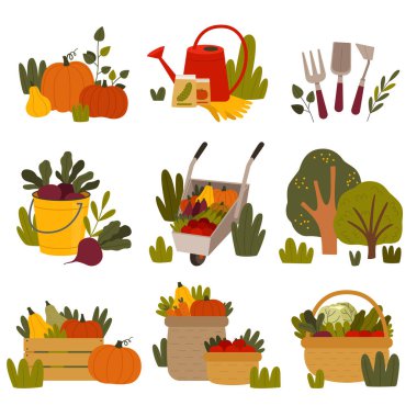 Olgun sebzeler ve Bahçe Alet Aletleri Seti ile dolu Hasat ve Hasır Sepet