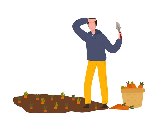 Man Farmer Gathering Ripe Carrot from Garden Bed Vector Illustration — Stock Vector