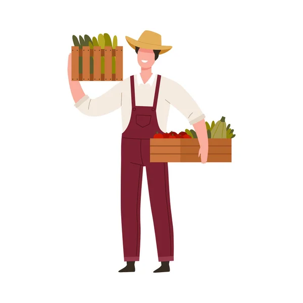 Homme agriculteur dans un chapeau de paille tenant une caisse en bois avec illustration vectorielle de légumes mûrs — Image vectorielle