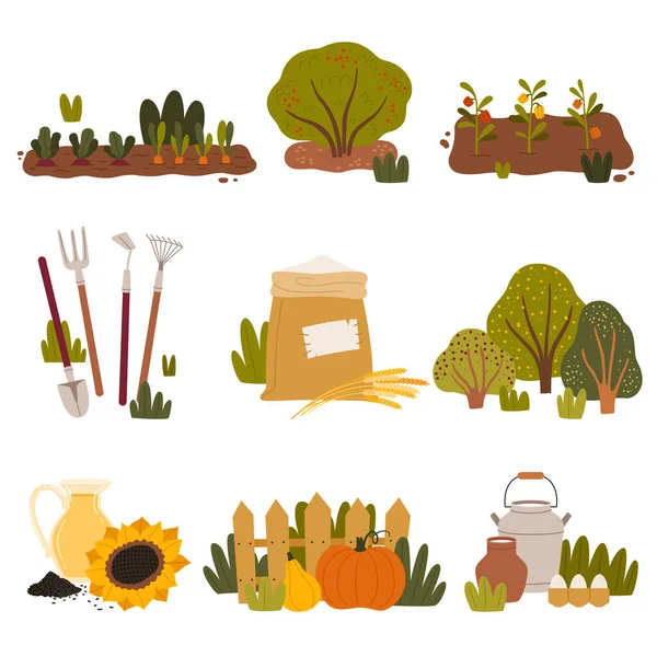 Élevage et agriculture avec lit de jardin, cultures agricoles et produits locaux Ensemble vectoriel — Image vectorielle