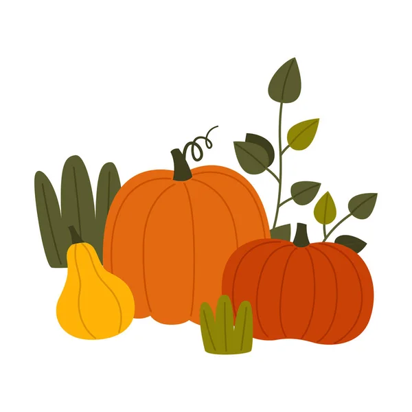 Ripe Pumpkin Vegetable as Seasonal Harvesting and Yield Vector Illustration — Stock Vector