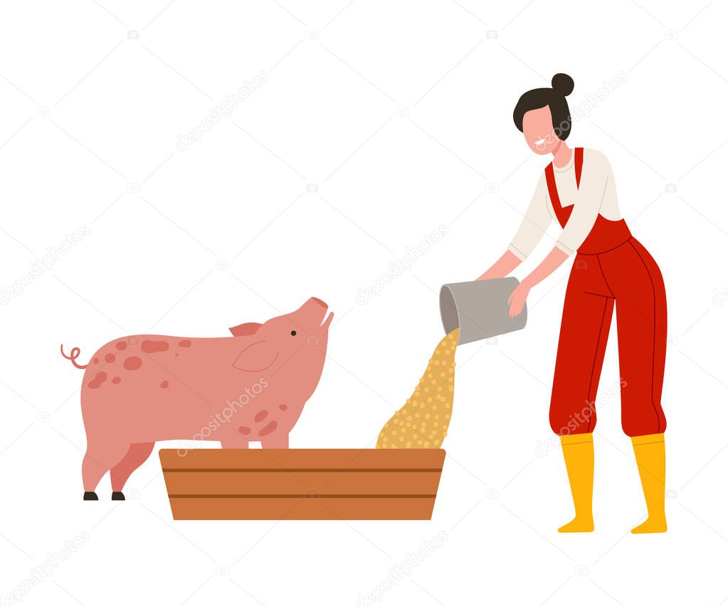 Woman Farmer Pouring Grain from Bucket Feeding Pig Vector Illustration