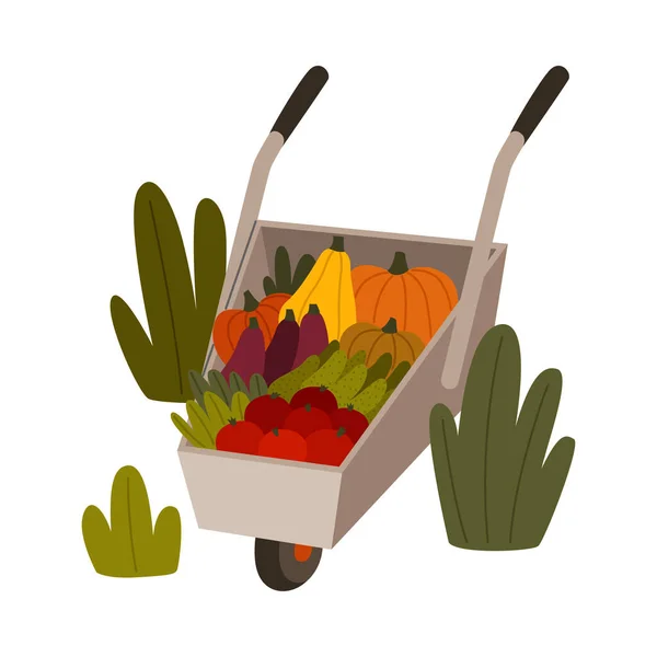 Mogna grönsaker i skottkärran som säsongsskörd och skördevektor Illustration — Stock vektor