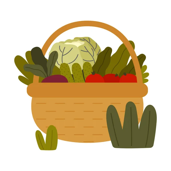 Спелые овощи в плетеной корзине в качестве сезонного урожая и векторной иллюстрации урожая — стоковый вектор
