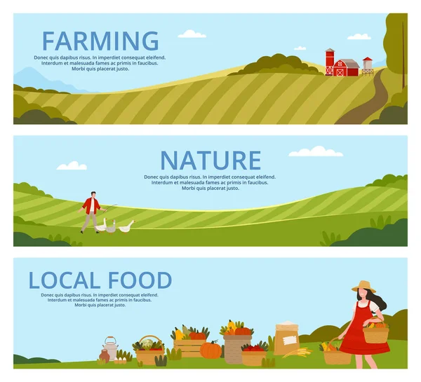 Modello di pagina per l'agricoltura biologica e l'atterraggio alimentare locale con campi agricoli e set vettoriale del rendimento delle colture mature — Vettoriale Stock