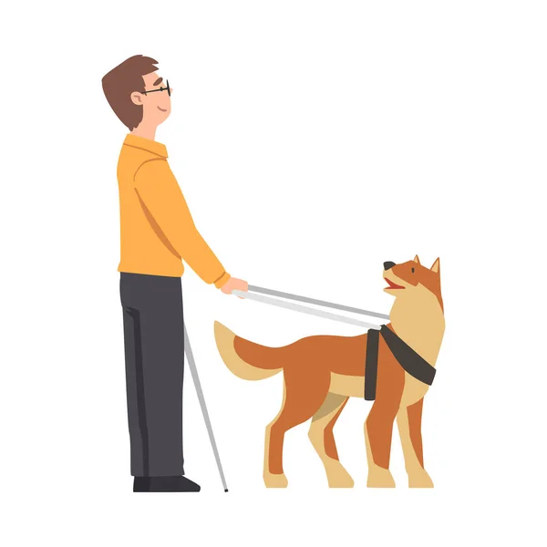 Kör adam rehber köpekle yürüyor, eğitilmiş hayvan bakımı engelli insan, rehabilitasyon, engelli erişilebilirlik konsepti çizgi film vektör ilülasyonu — Stok Vektör