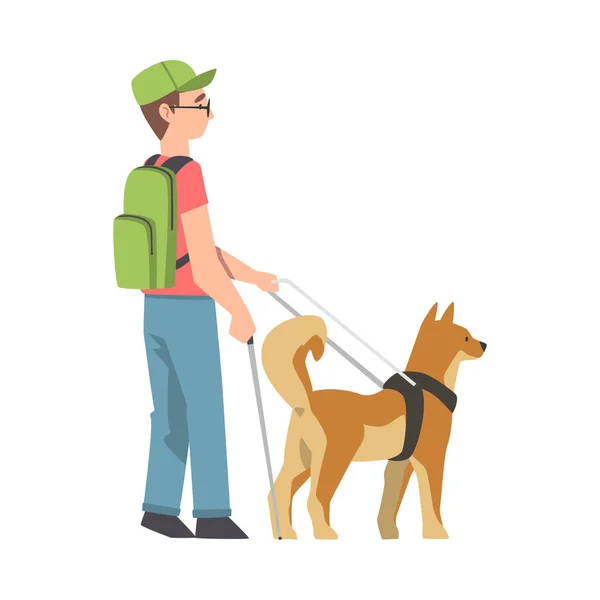 Blinde jongen begeleid door het zien van Eye Dog aan de lijn, getraind dier helpen gehandicapte persoon, rehabilitatie, gehandicapte toegankelijkheid cartoon vector illustratie — Stockvector