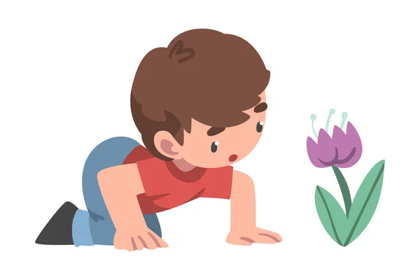 Niño curioso sentado cerca de florecer flor estudiar planta y explorar entorno Vector Ilustración — Vector de stock